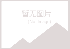 桃山区紫山能源有限公司